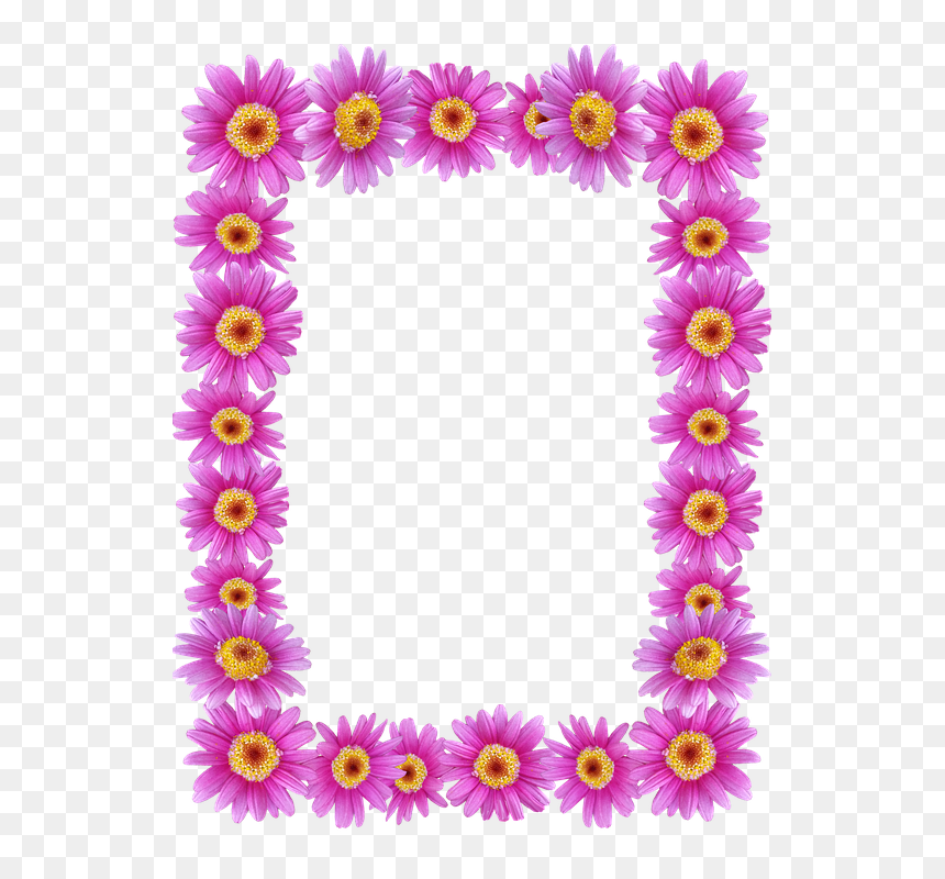 Frame, Border, Daisies, Floral, Decorative - Marcos De Fotos De Flores, HD Png Download - marco de flores png