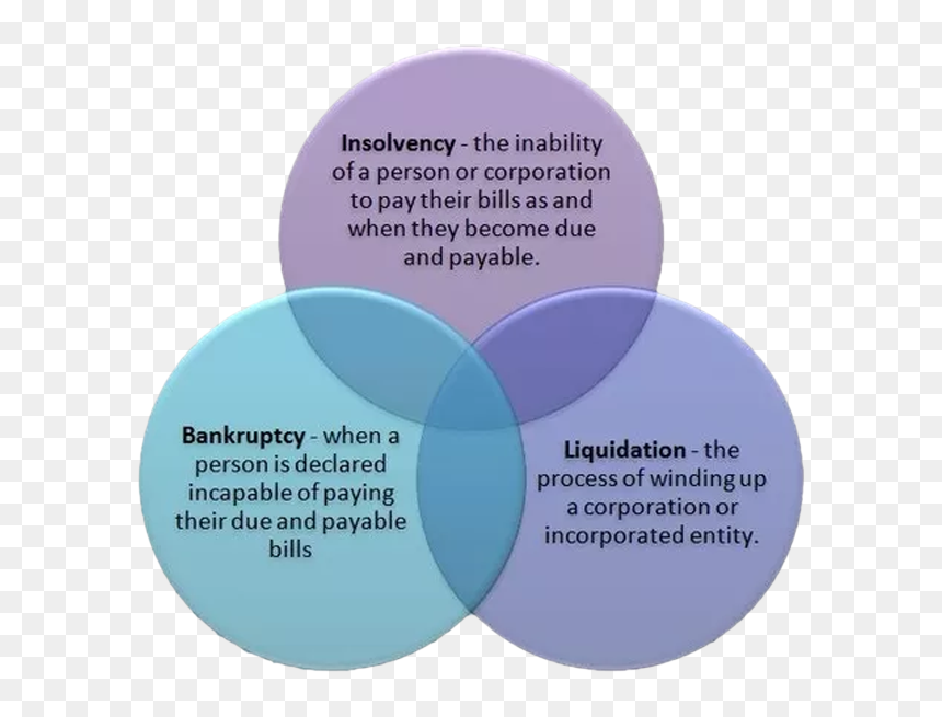 Chart - Circle, HD Png Download - bankruptcy png