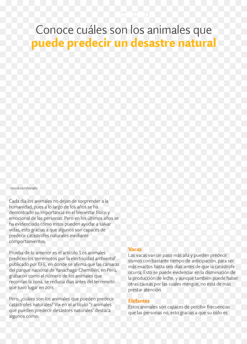 Document, HD Png Download - gracias por su atencion png