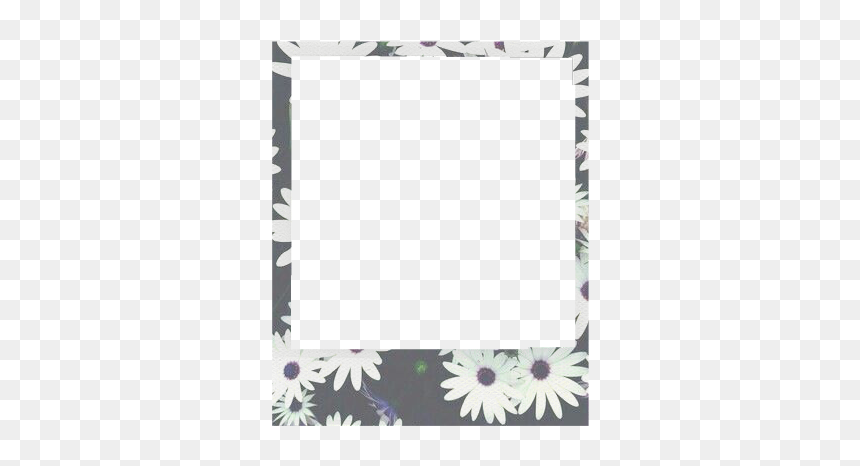 Borde Marco Flowers Flores - Gerbera, HD Png Download - marco de flores png