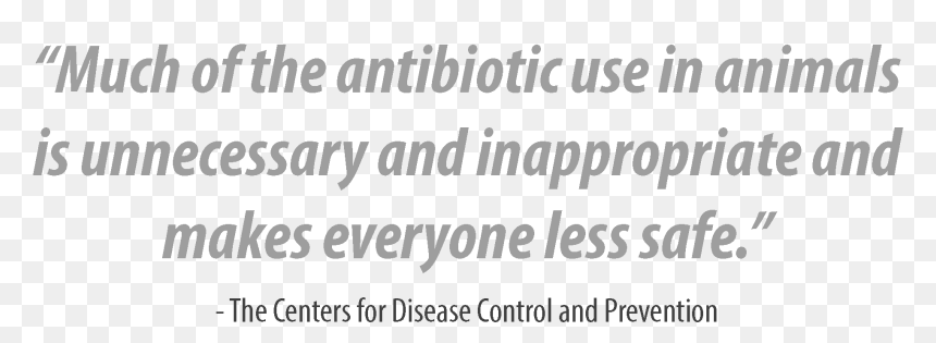 Liberal Party Of Pei, HD Png Download - antibiotics png