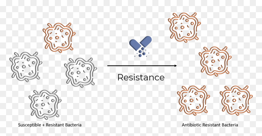 Illustration, HD Png Download - antibiotics png