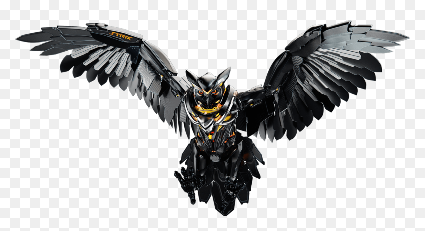 Asus Strix Owl, HD Png Download - buho png