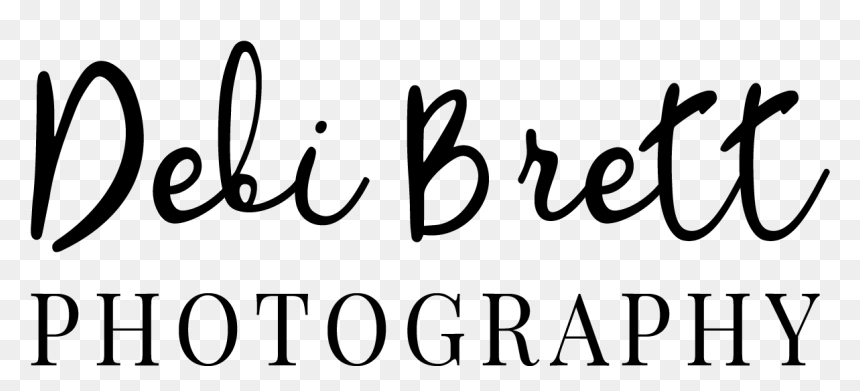 Debi Brett Photography - Calligraphy, HD Png Download - christmas overlay png