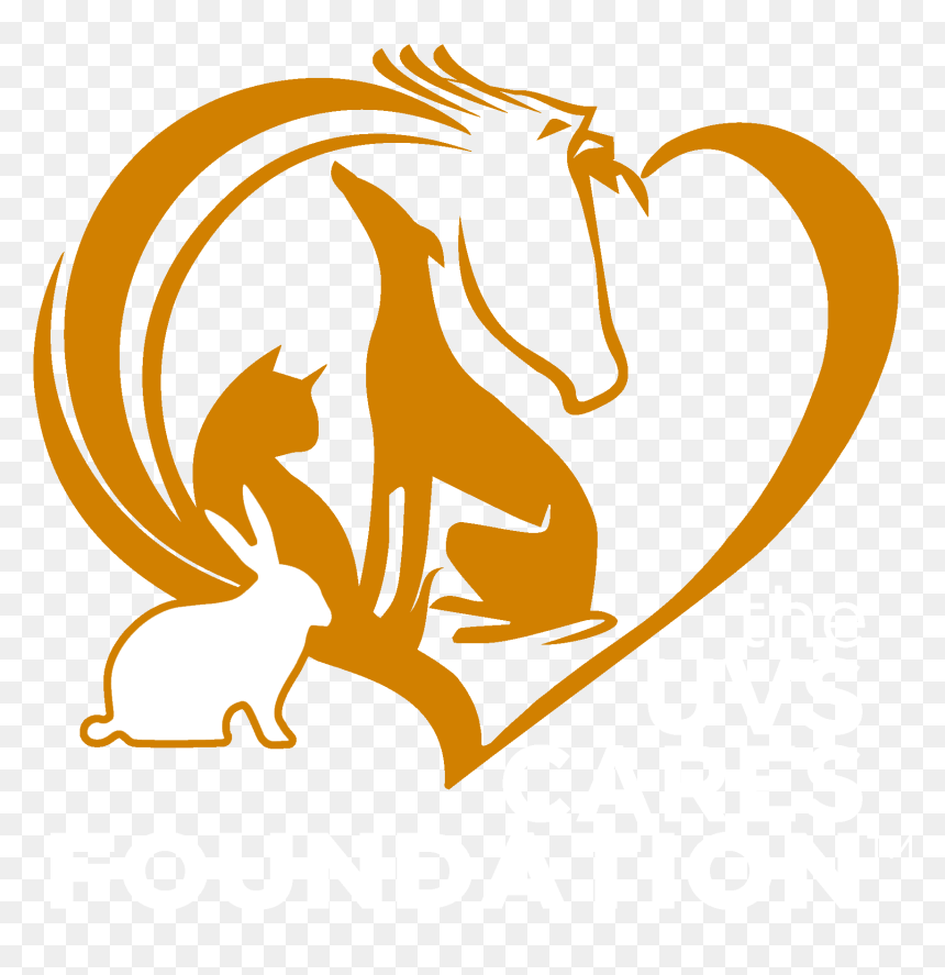 Open 24 Hours, 7 Days A Week - University Veterinary Specialists, HD Png Download - open 24 hours png