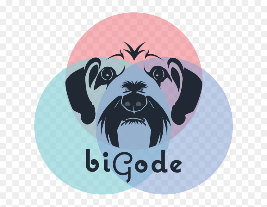 Boxer, HD Png Download - bigode png