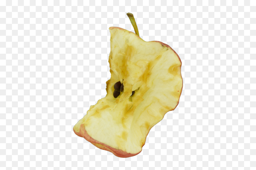 Apple, HD Png Download - apple core png
