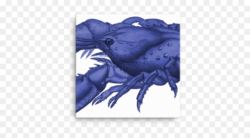 Serrated Lobster, Cancer Serratus, HD Png Download - blue planet png