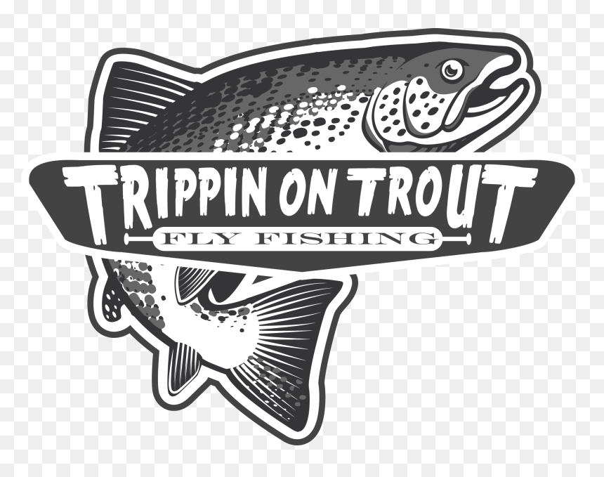 Transparent Trout Clipart - Illustration, HD Png Download - fly fishing png