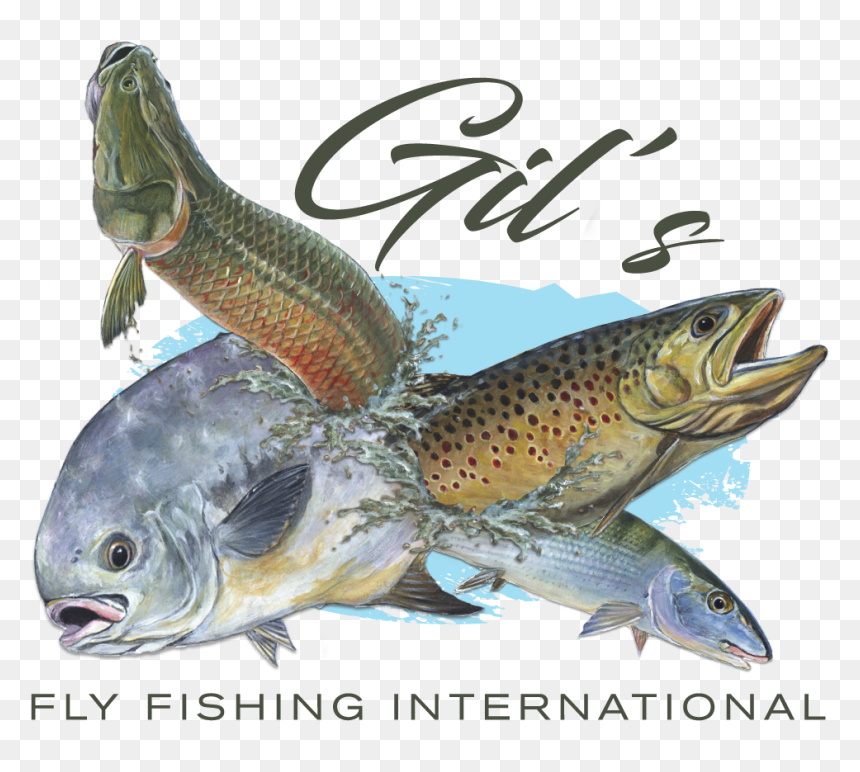 Brown Trout, HD Png Download - fly fishing png