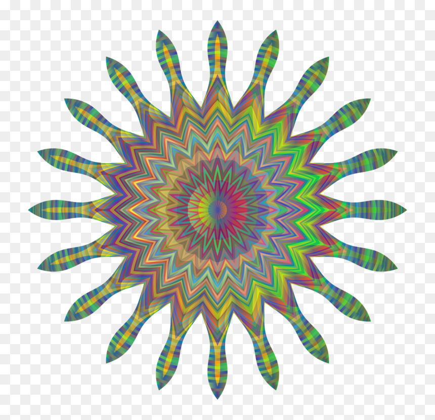 Plant,flower,circle - Символ Звёздочка В Тексте, HD Png Download - fly fishing png