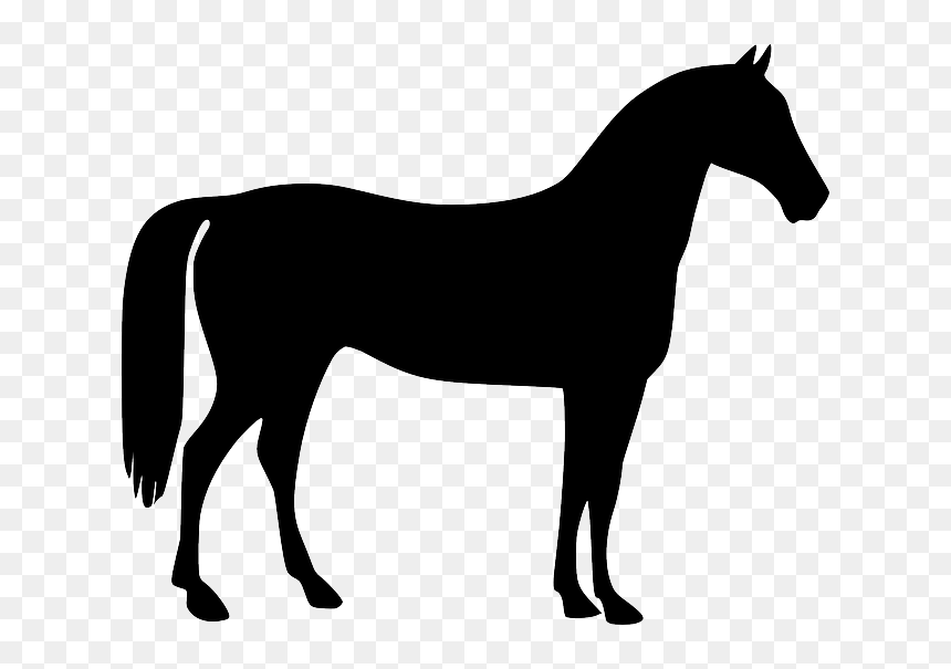 Mustang American Quarter Horse Stallion Pony - Horse Vector, HD Png Download - soldier 76 mask png