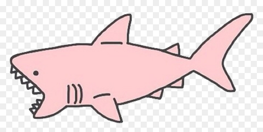 Stickers Edit Edits Png Head Face Pic Photo Transparent - Pink Shark Transparent, Png Download - shark head png