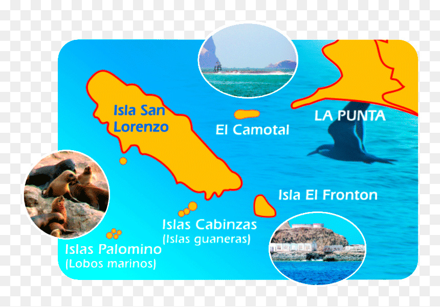 Tour En Yate A Islas Palomino , Png Download, Transparent Png - isla png
