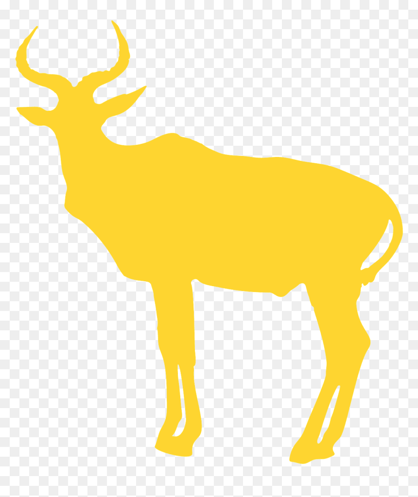 Elk, HD Png Download - antelope png