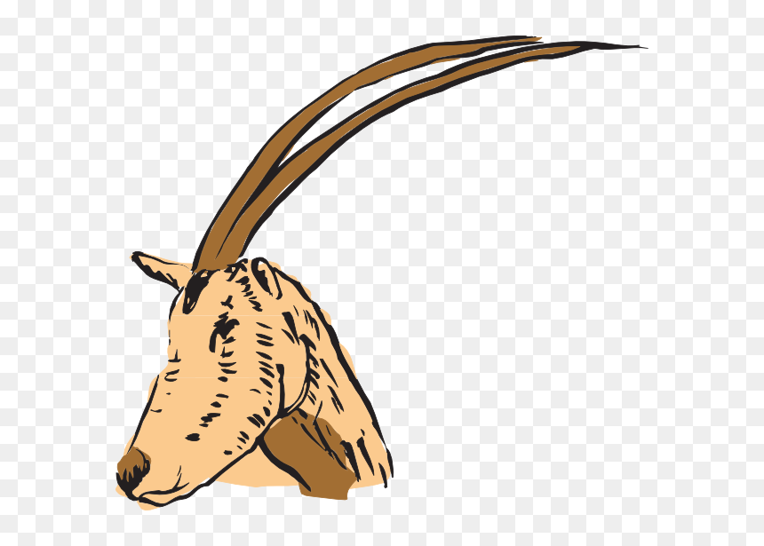 Horn, HD Png Download - antelope png