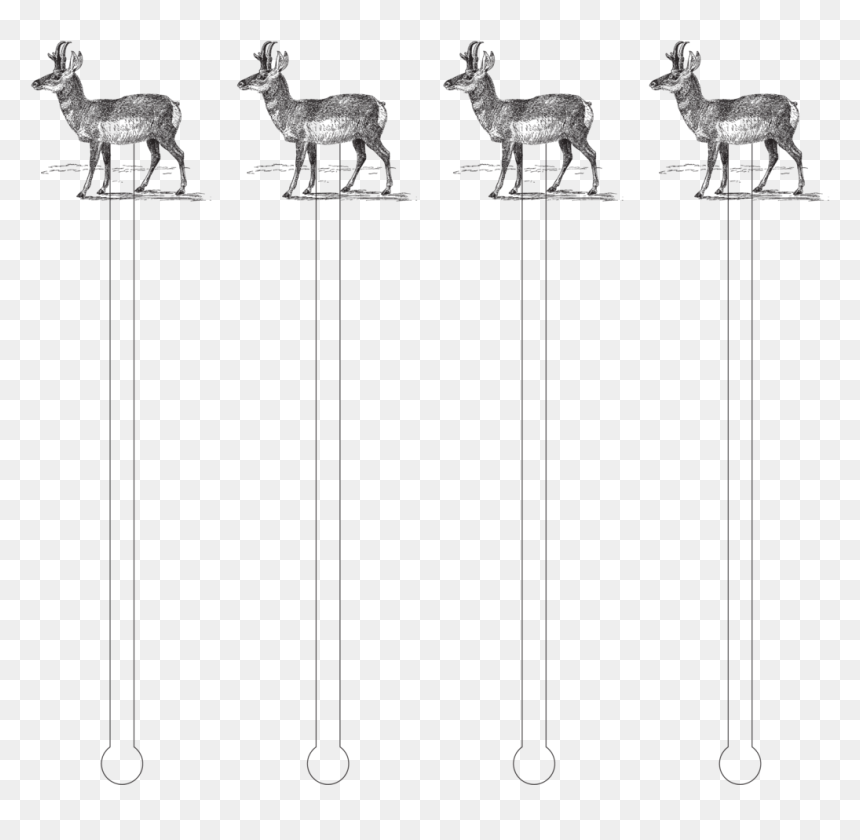 Roe Deer, HD Png Download - antelope png