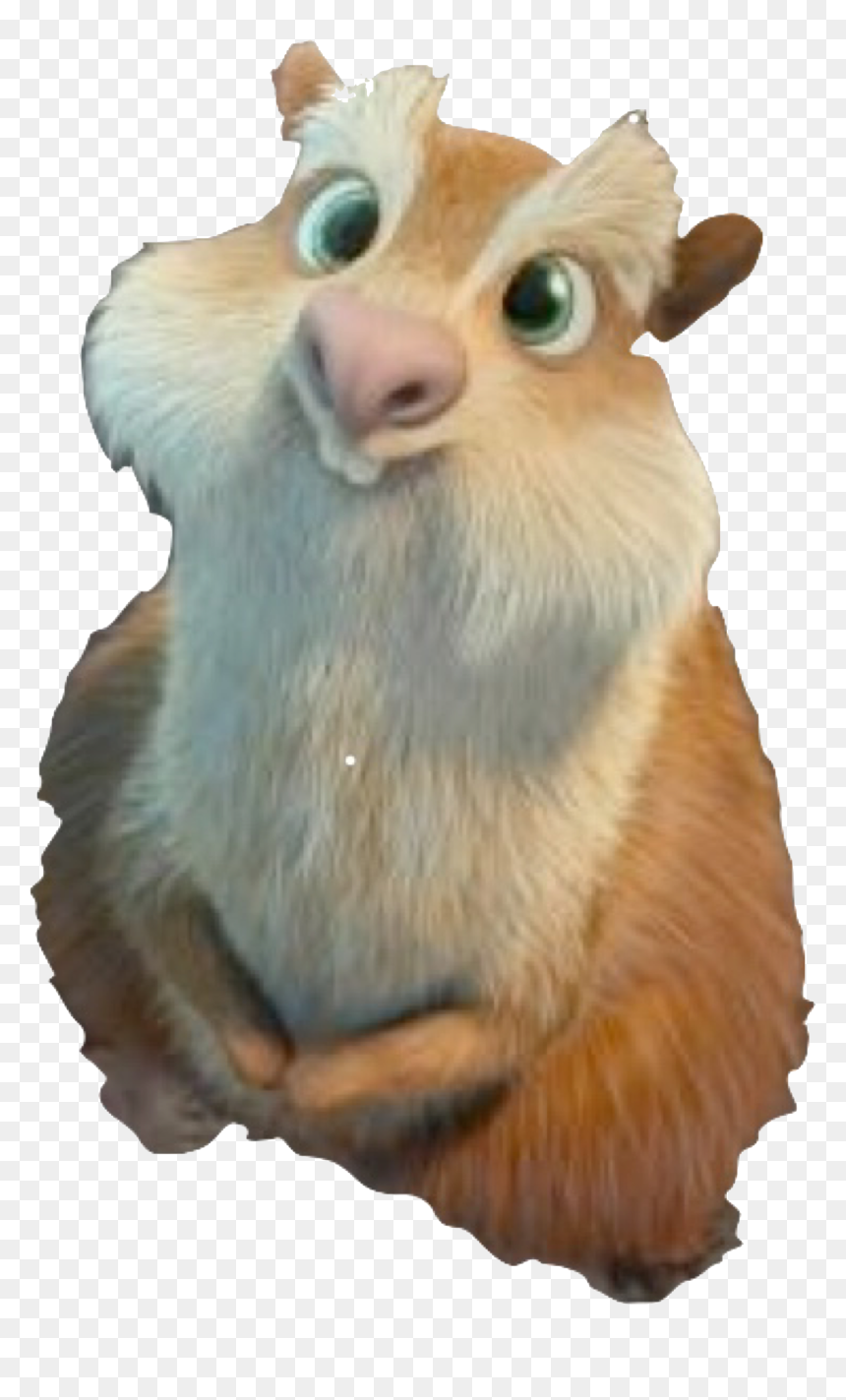 Transparent Quokka Png - Punxsutawney Phil, Png Download - antelope png