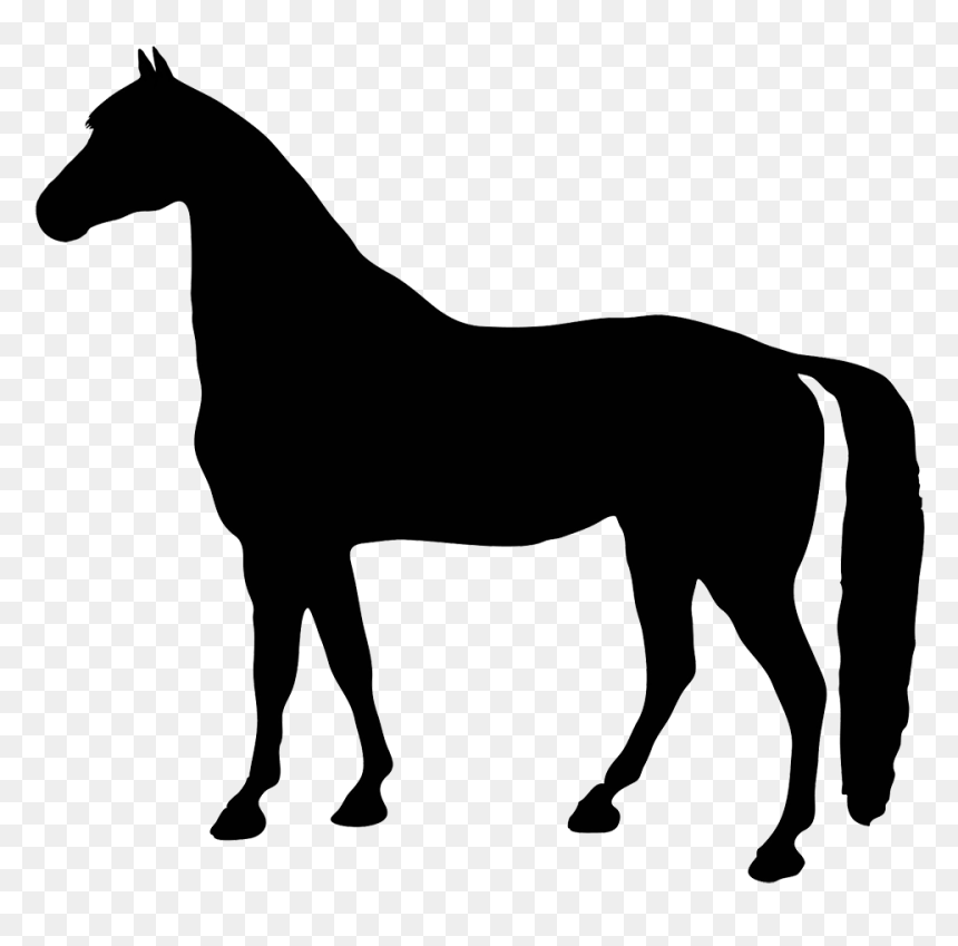 Horse Silhouette No Background, HD Png Download - horseshoe png