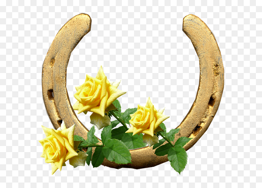Di Buongiorno 27 Aprile, HD Png Download - horseshoe png