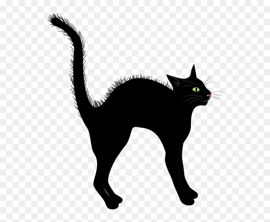 Black Cat, HD Png Download - black cat png