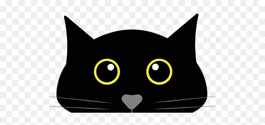Black Cat, HD Png Download - black cat png