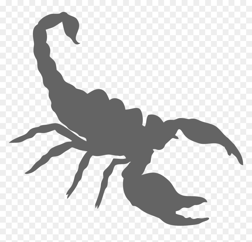 Wild Kratts Scorpion Power, HD Png Download - scorpion png
