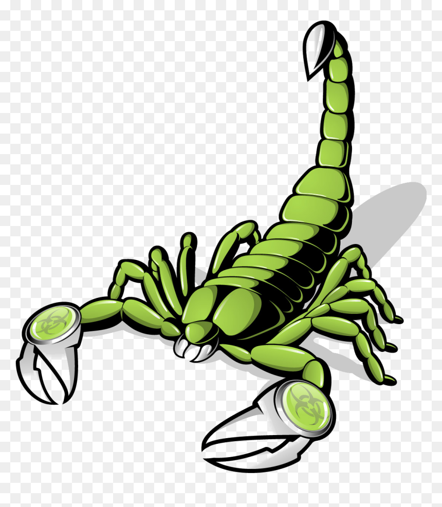 Scorpion Free, HD Png Download - scorpion png