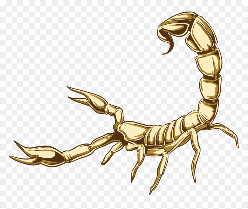 Scorpion Illustration Png, Transparent Png - scorpion png