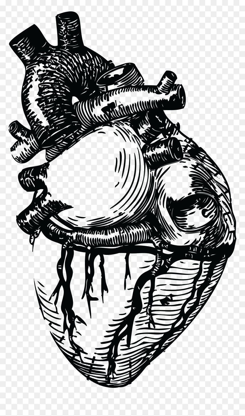 Realistic Heart Line Art, HD Png Download - thermometer png