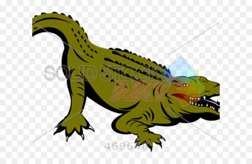 Alligators, HD Png Download - alligator png