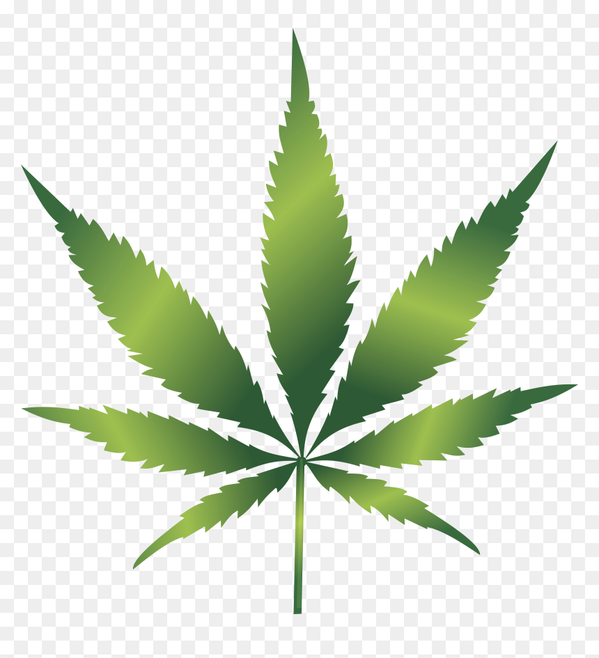 Cannabis Leaf Clip Art, HD Png Download - marijuana png