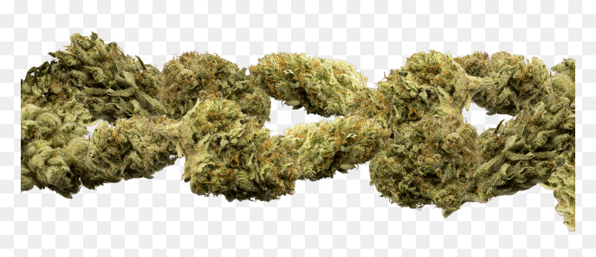 Moss, HD Png Download - marijuana png