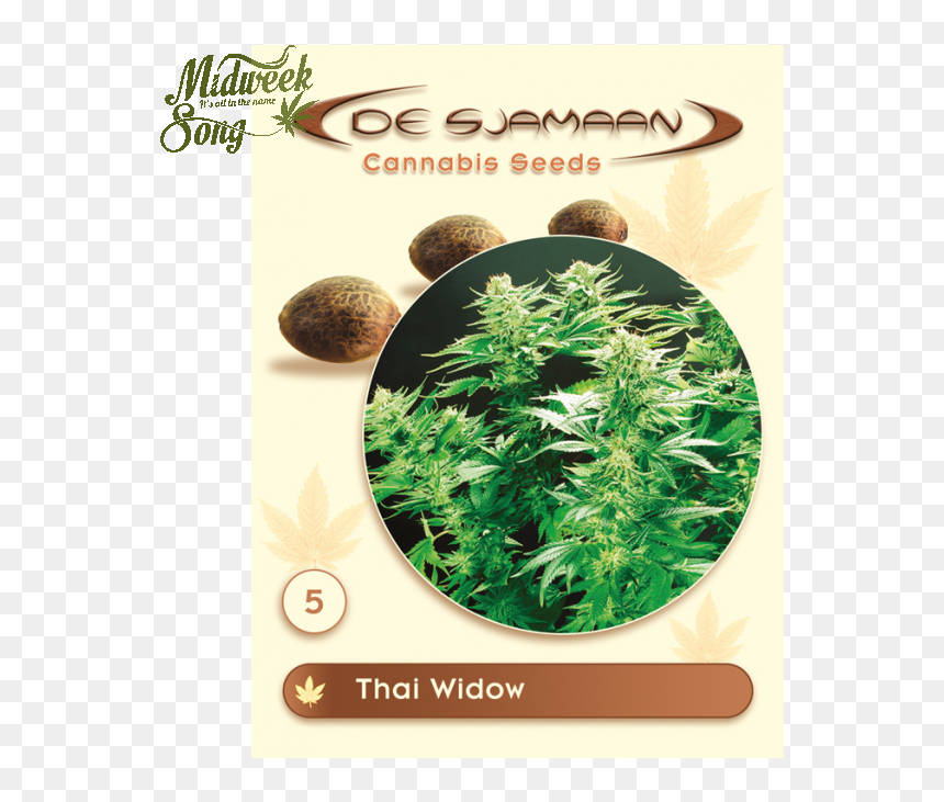 Thai Widow Strain, HD Png Download - marijuana png