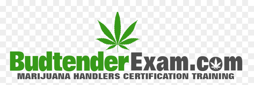 Mr Bean 1, HD Png Download - marijuana png