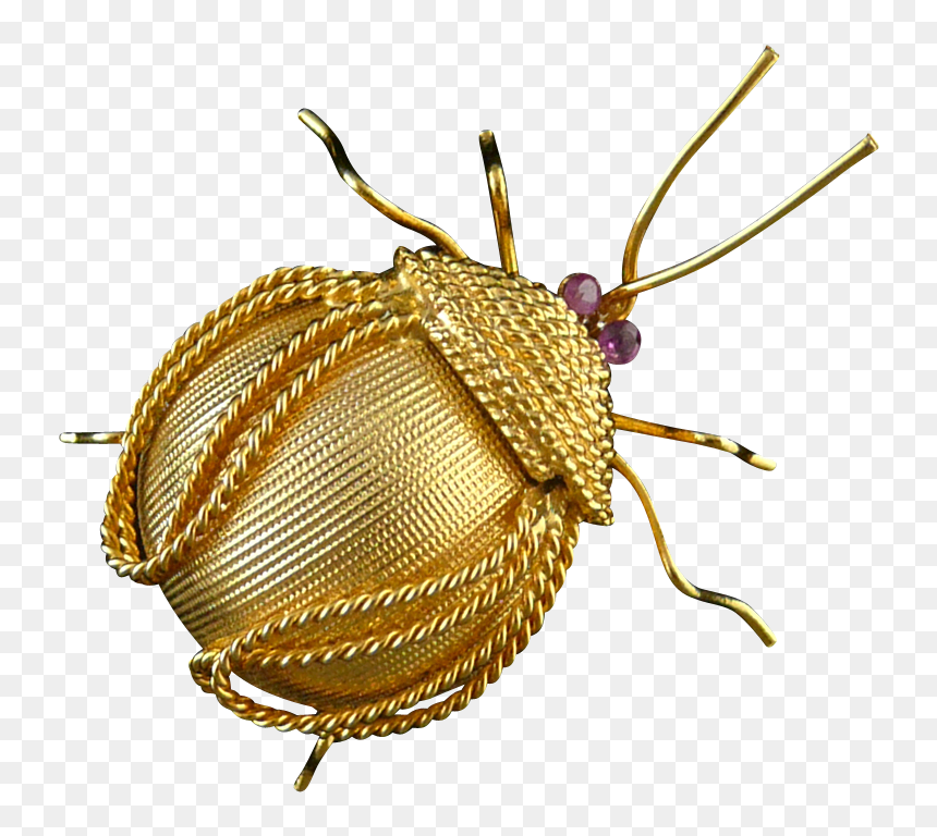 Corocraft Bug Brooch With Ruby Eyes - Beetle, HD Png Download - bug eyes png