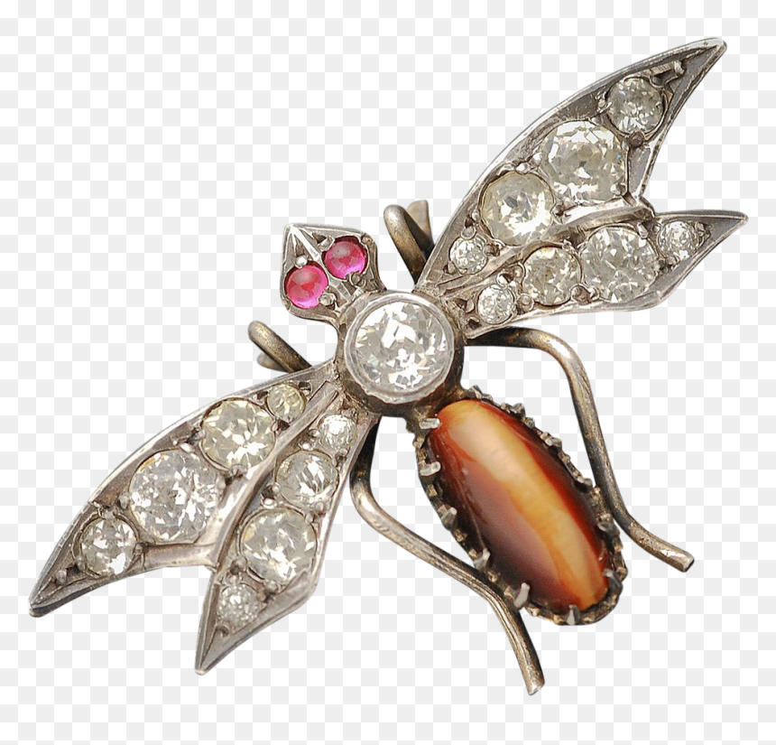Brooch, HD Png Download - bug eyes png