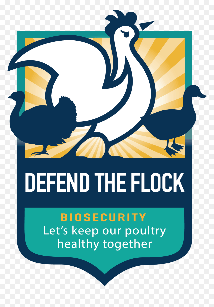 "defend The Flock - Defend The Flock, HD Png Download - usda png