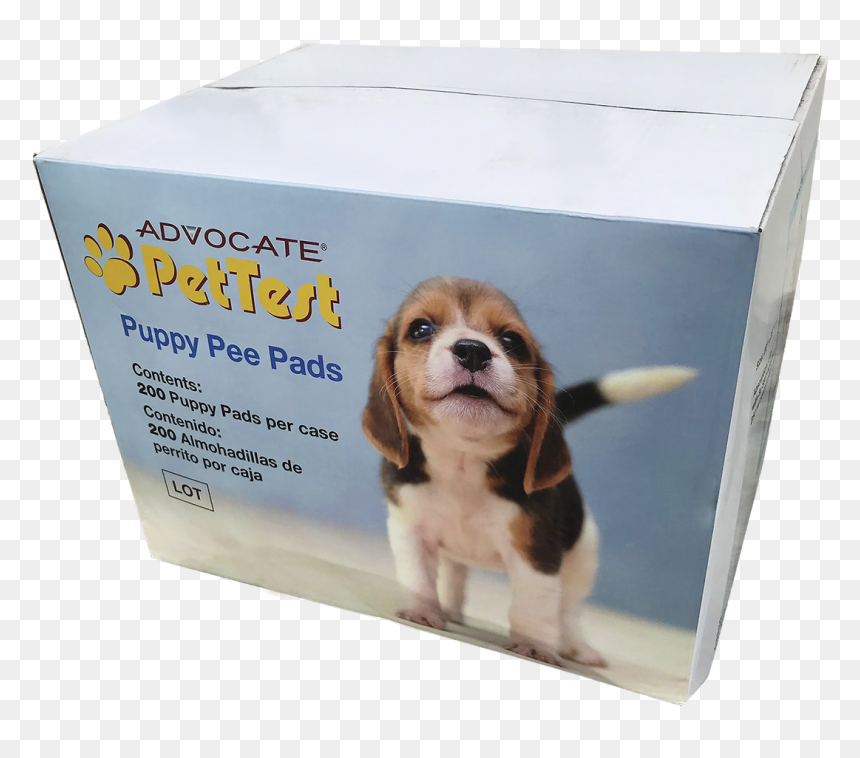 Beagle, HD Png Download - pee png