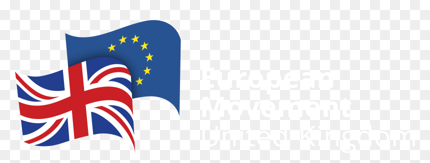 "people Are Increasingly Frustrated That Decisions - European Movement Uk, HD Png Download - frustrated png