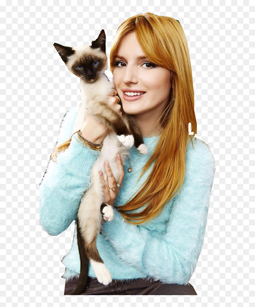 Siamese, HD Png Download - bella thorne png