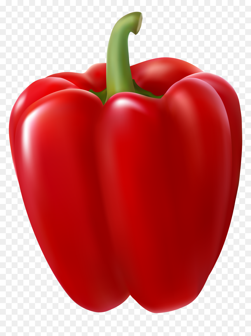 Bella Thorne Png, Transparent Png - bella thorne png