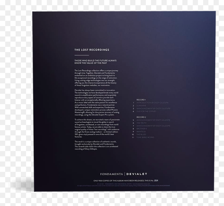 The Lost Recordings - Brochure, HD Png Download - dizzy png