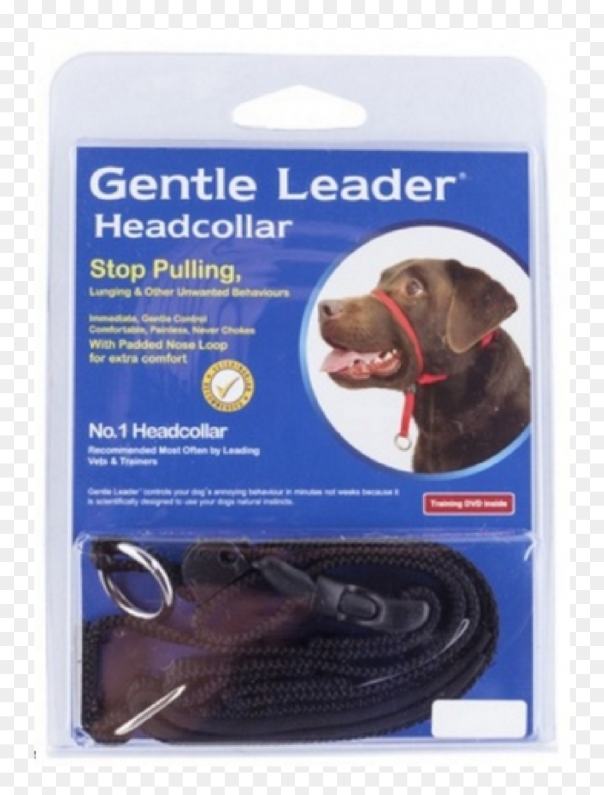 Lead Harness Gentle Leader, HD Png Download - viñeta png