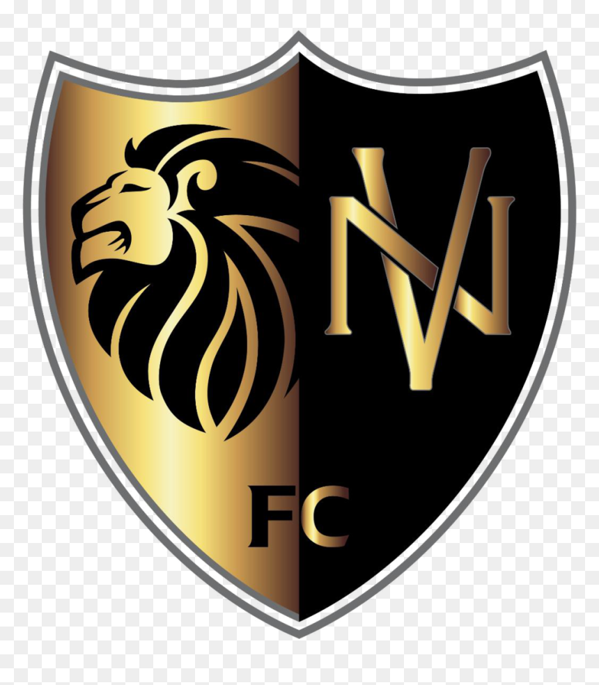 Nv Shield, HD Png Download - shield .png