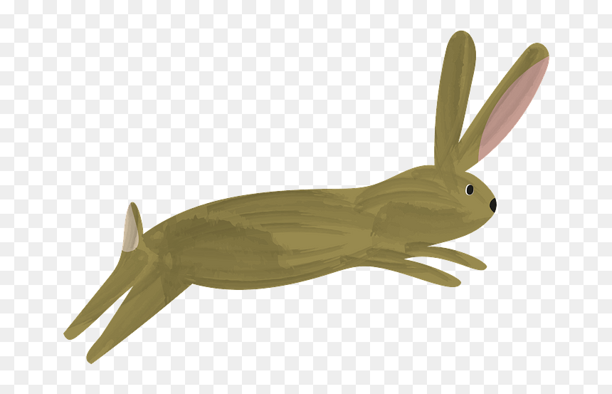 Insect, HD Png Download - bunny tail png