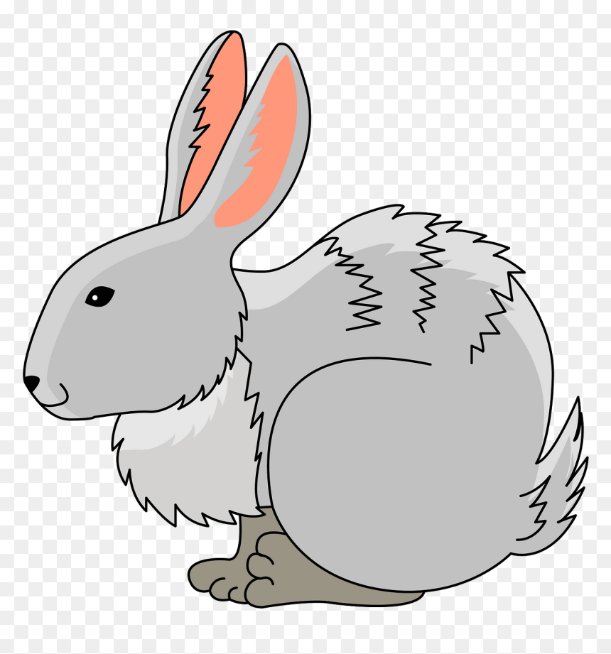Bunny Clipart, HD Png Download - bunny tail png