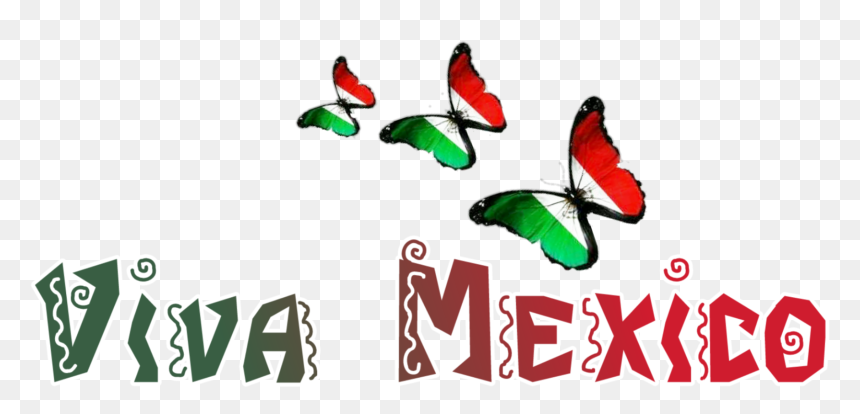 #viva Mexico @aracelyzurita1 - Comida Mexicana, HD Png Download - viva mexico png