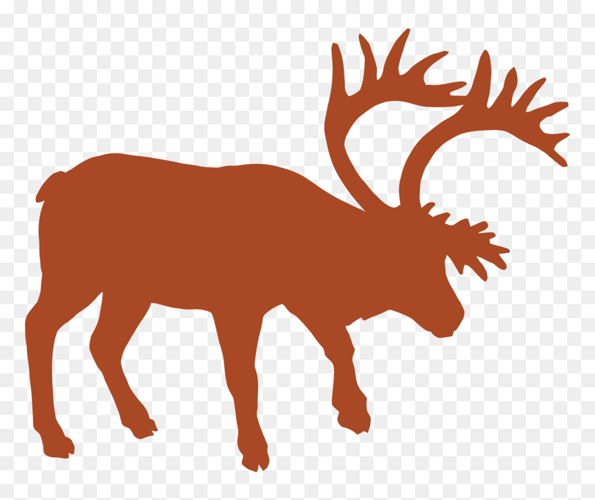 Animal Track Vector Graphics Muskox Reindeer - Silhouette North American Animal, HD Png Download - doe png