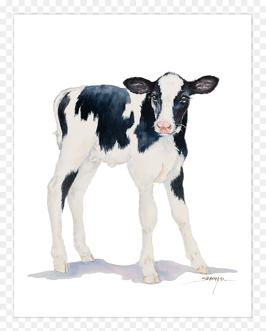 Wall Art Imageworks - Baby Cow Transparent Background, HD Png Download - baby goat png
